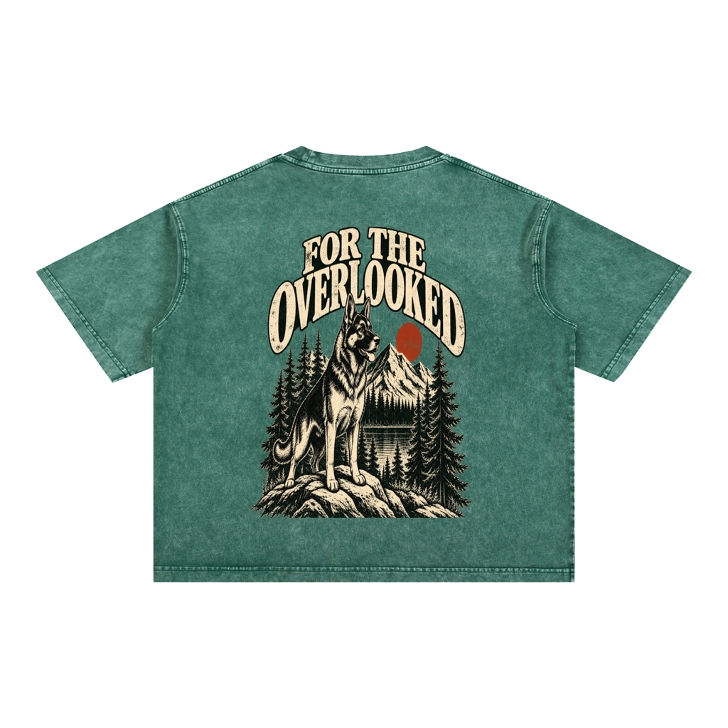 For the Adventure Dogs