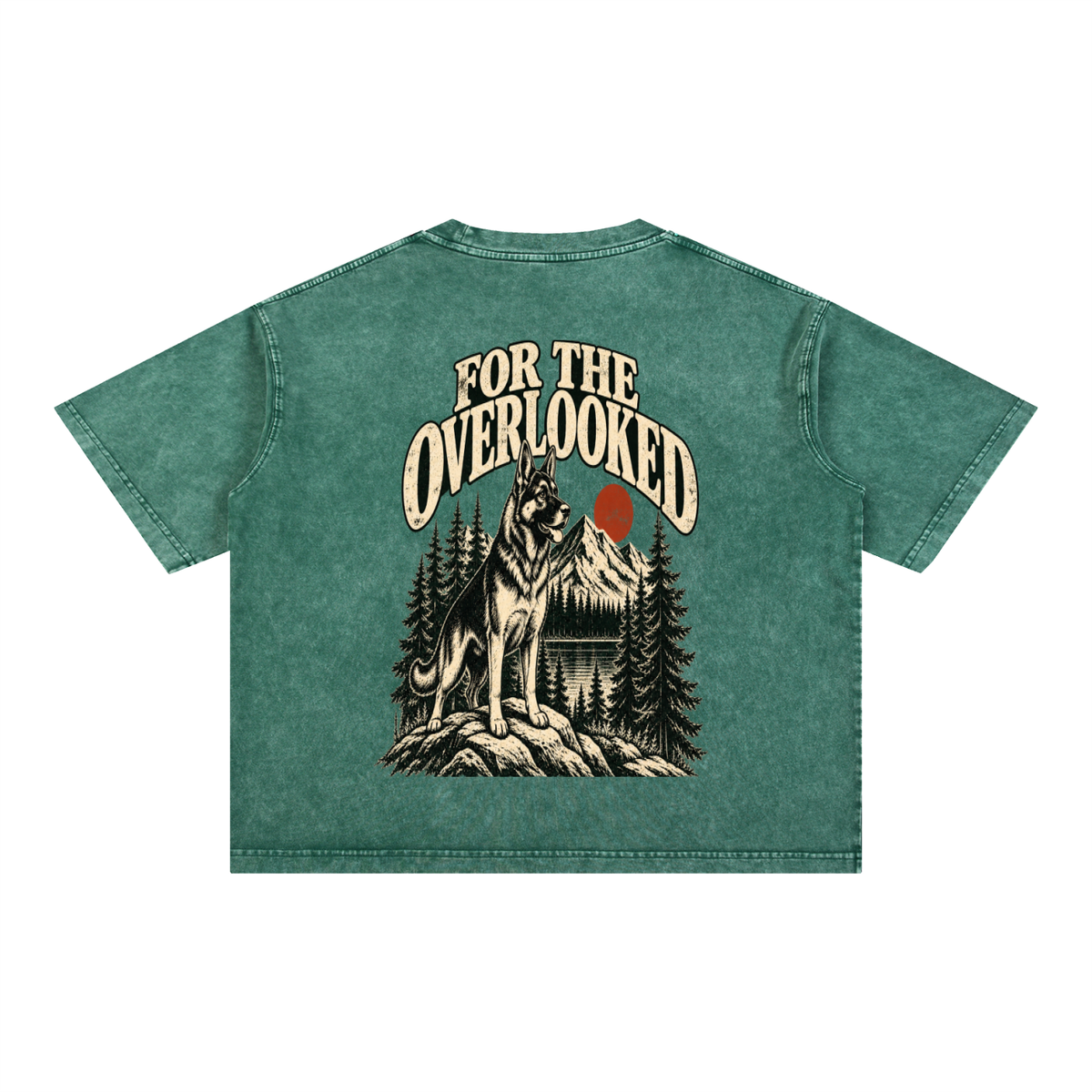 For the Adventure Dogs
