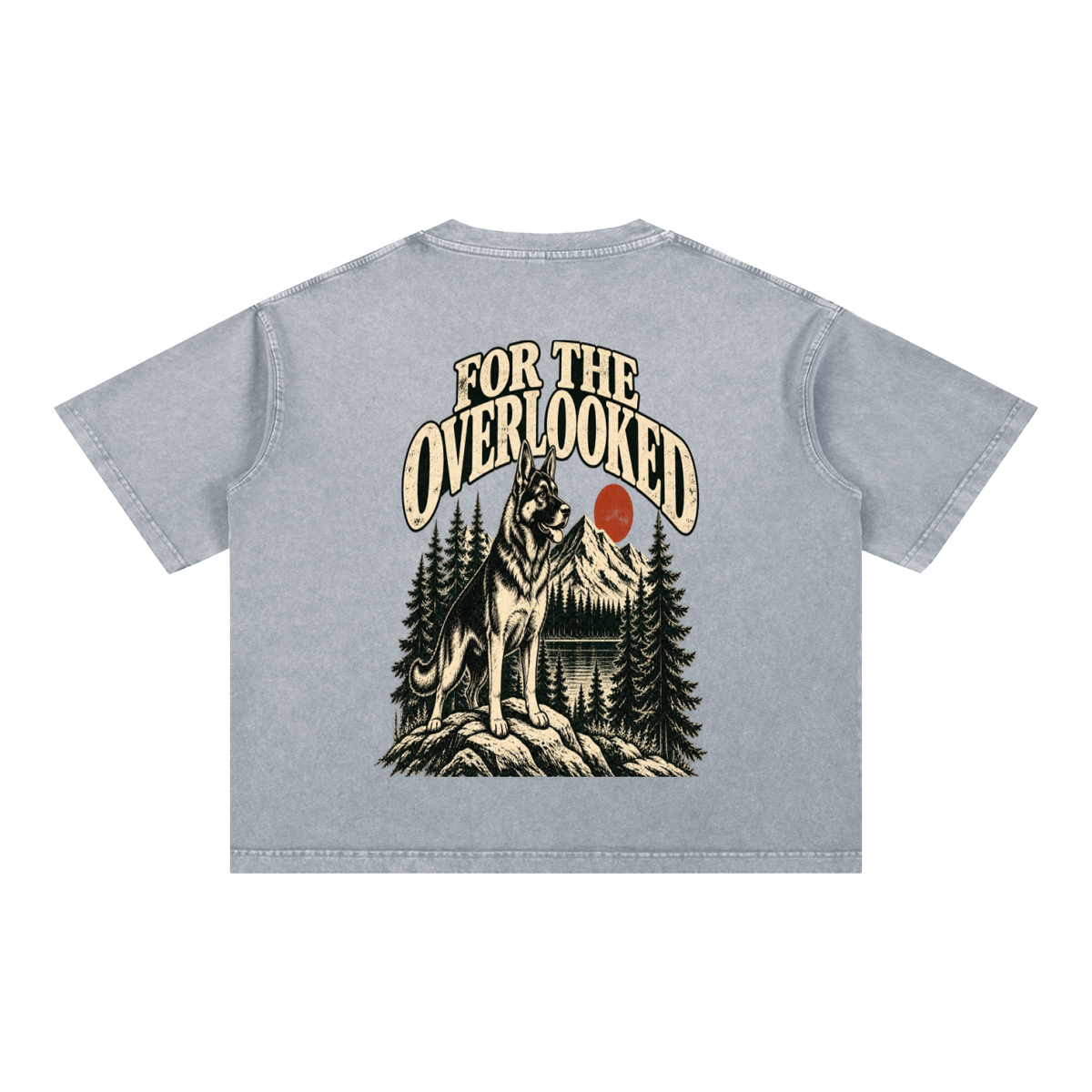 For the Adventure Dogs