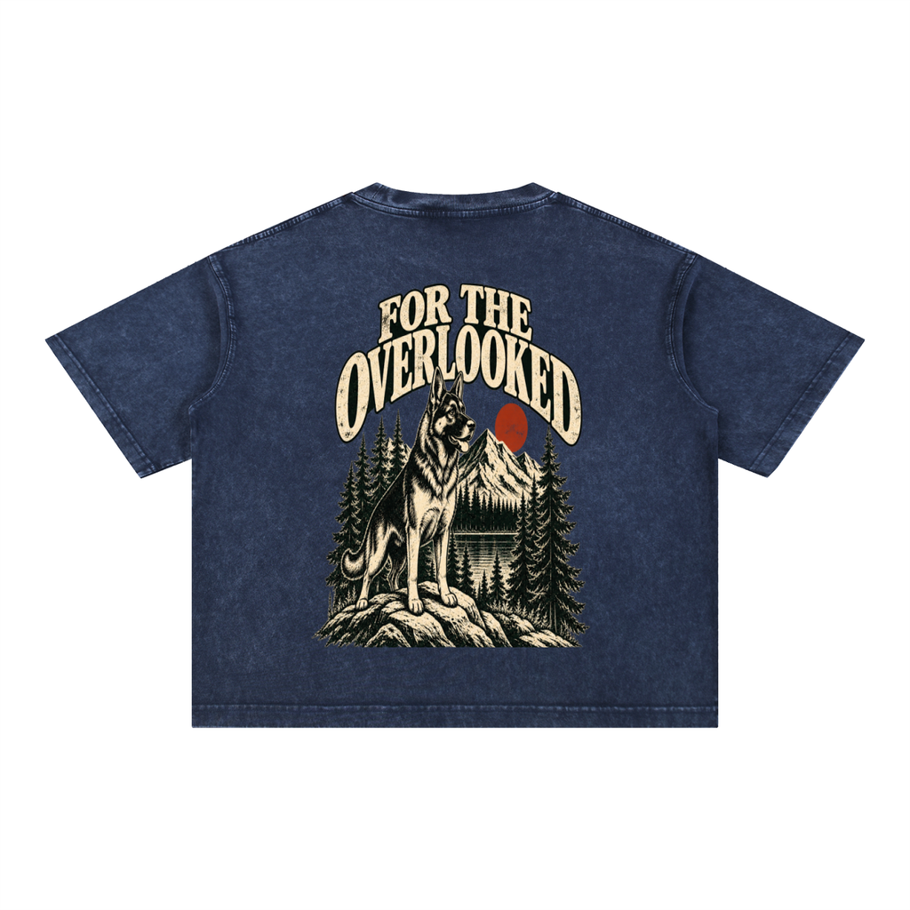 For the Adventure Dogs