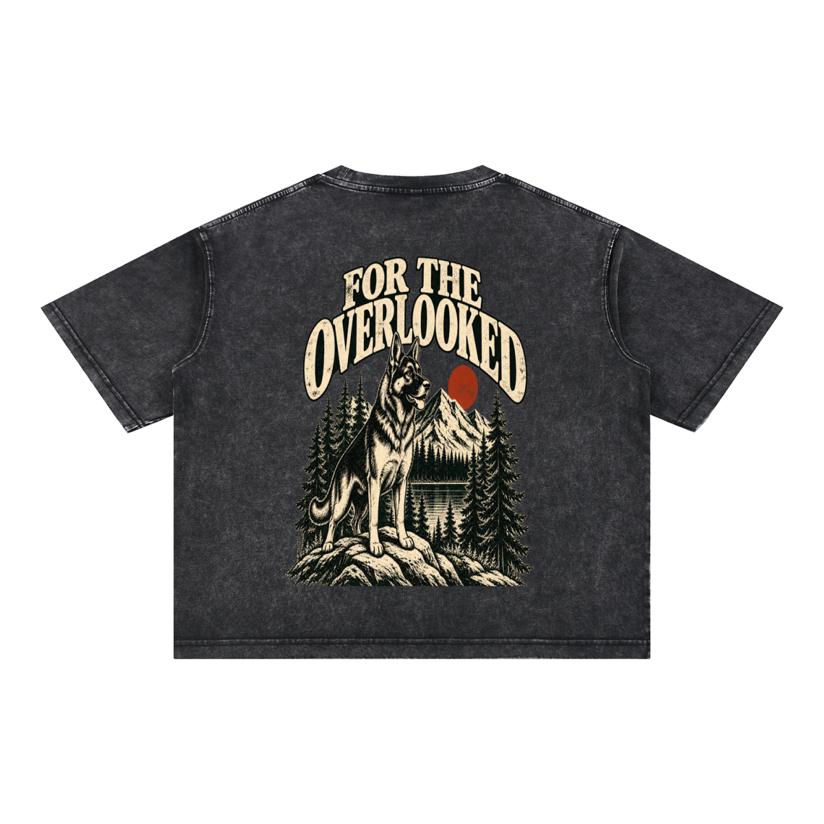 For the Adventure Dogs